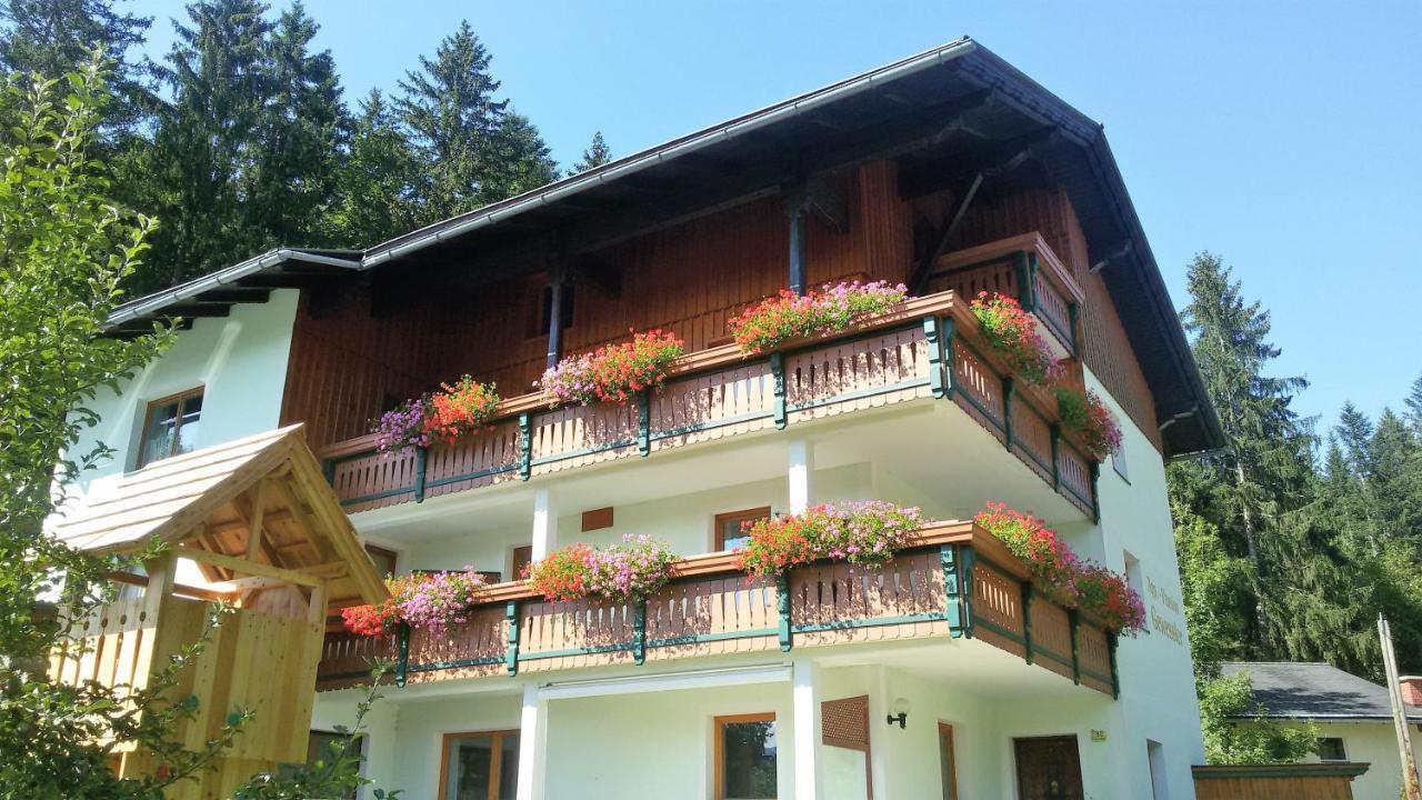 Appartement-Pension Familie Gewessler 바트 미테른도르프 외부 사진
